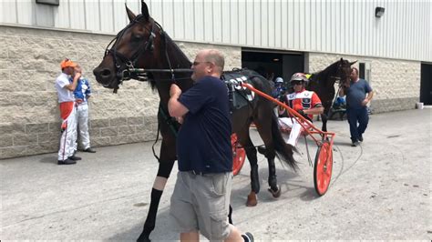 Live harness racing at The Meadows continues Thursday when the 13-race program features a 1,440. . Meadows harness racing program